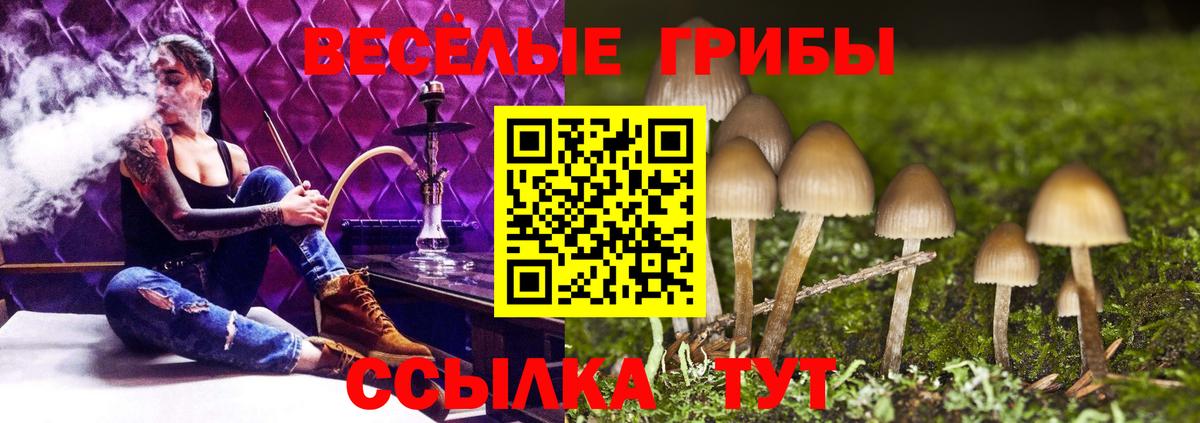 Псилоцибиновые грибы прущие грибы Соликамск